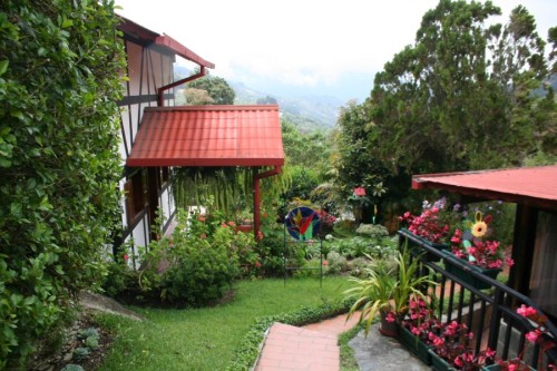 Hoteles o cabanas en la colonia tovar