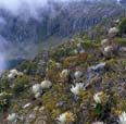 Paquetes de Montaña